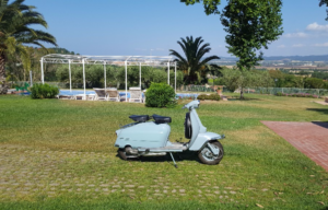 lambretta azzurra su un prato